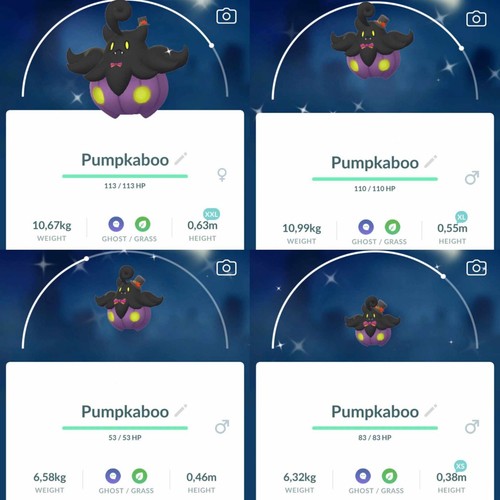 Pokemon shiny pumpkaboo - shiny,