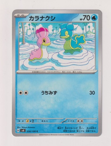 Shellos schalellos pokemon - /,