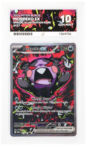 Ace morpeko sir - ace,